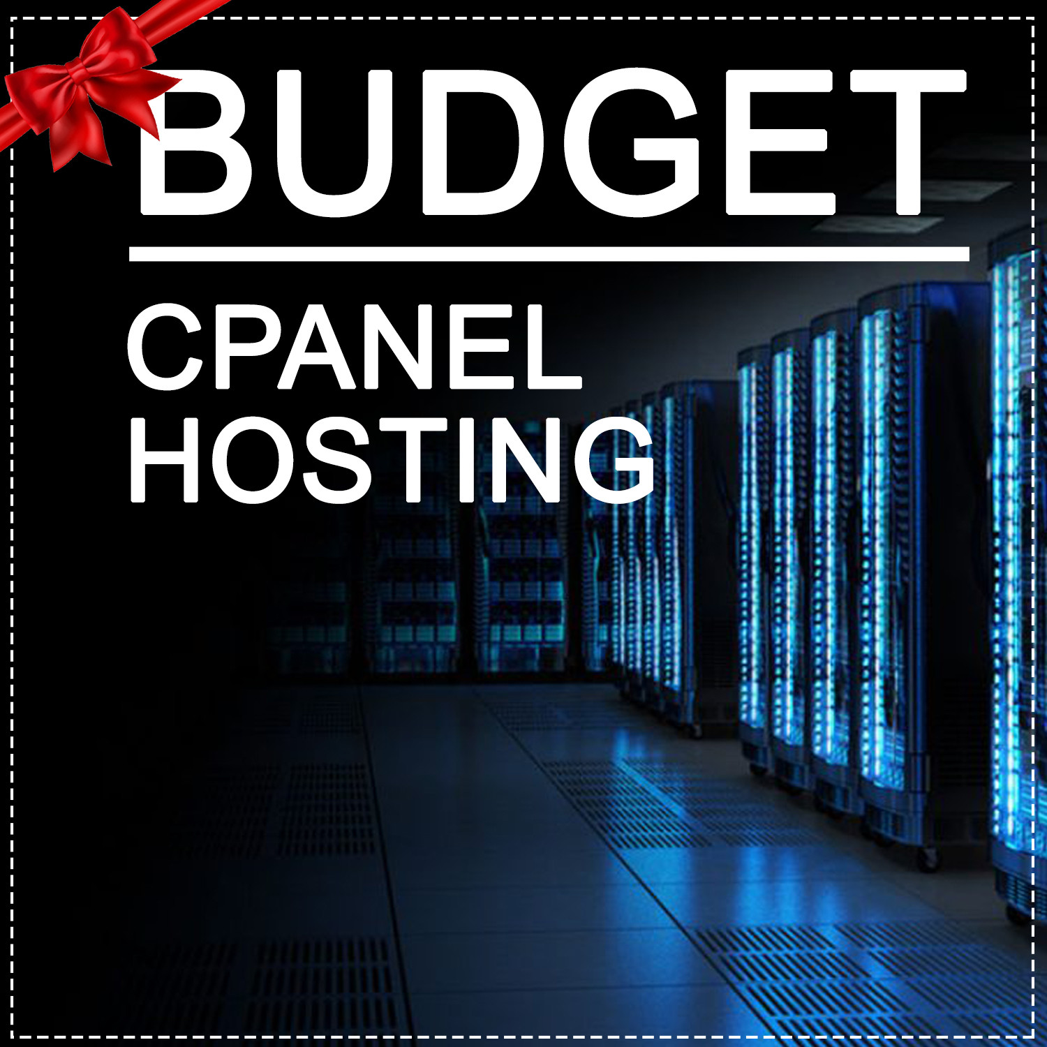 Budget Cpanel Hosting